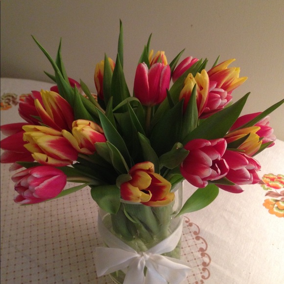 Meet your Posher, Lesia - Picture 4 of 4